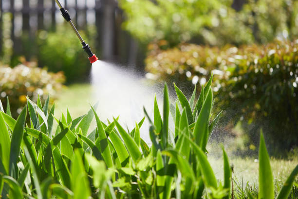 24/7 Emergency Wasp Removal experts in Orange Blossom, CA
