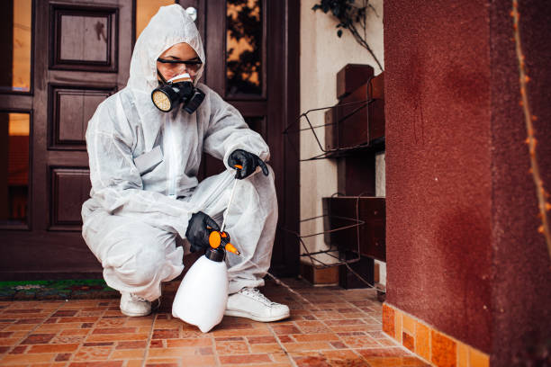 Reliable Wasp Removal contractor in Orange Blossom, CA by Show Me Pest Control